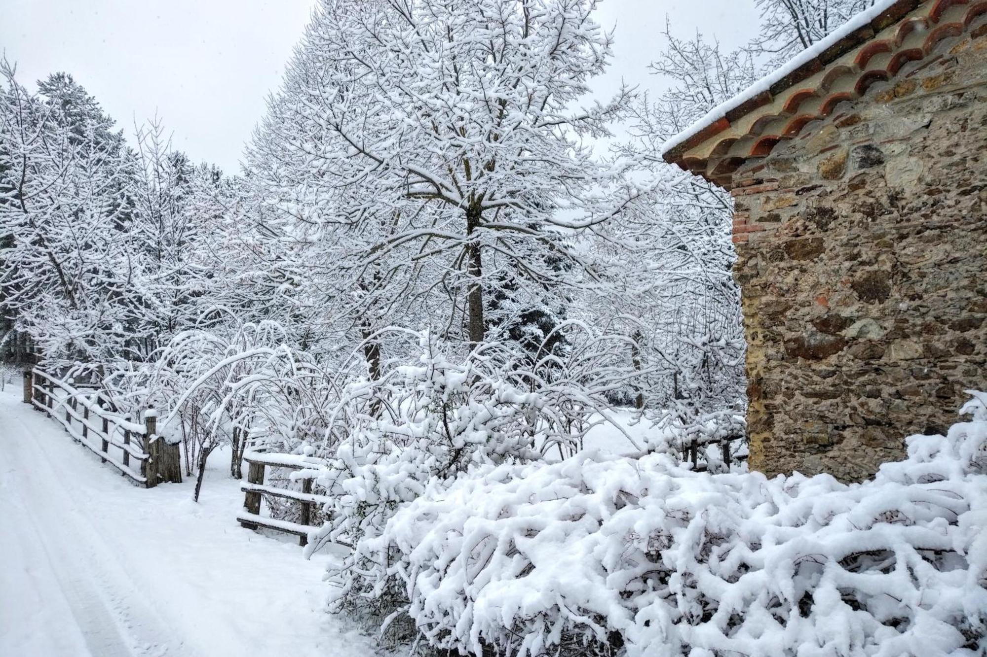 Torre Camigliati Dimora Storica Hotel Camigliatello Silano Luaran gambar