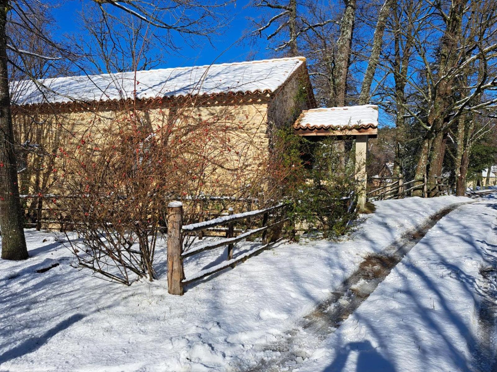 Torre Camigliati Dimora Storica Hotel Camigliatello Silano Luaran gambar