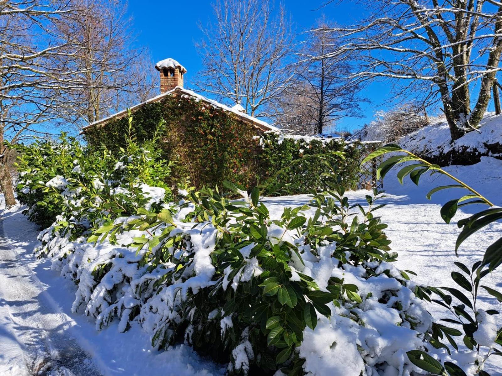 Torre Camigliati Dimora Storica Hotel Camigliatello Silano Luaran gambar