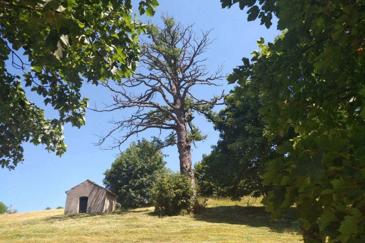 Torre Camigliati Dimora Storica Hotel Camigliatello Silano Luaran gambar