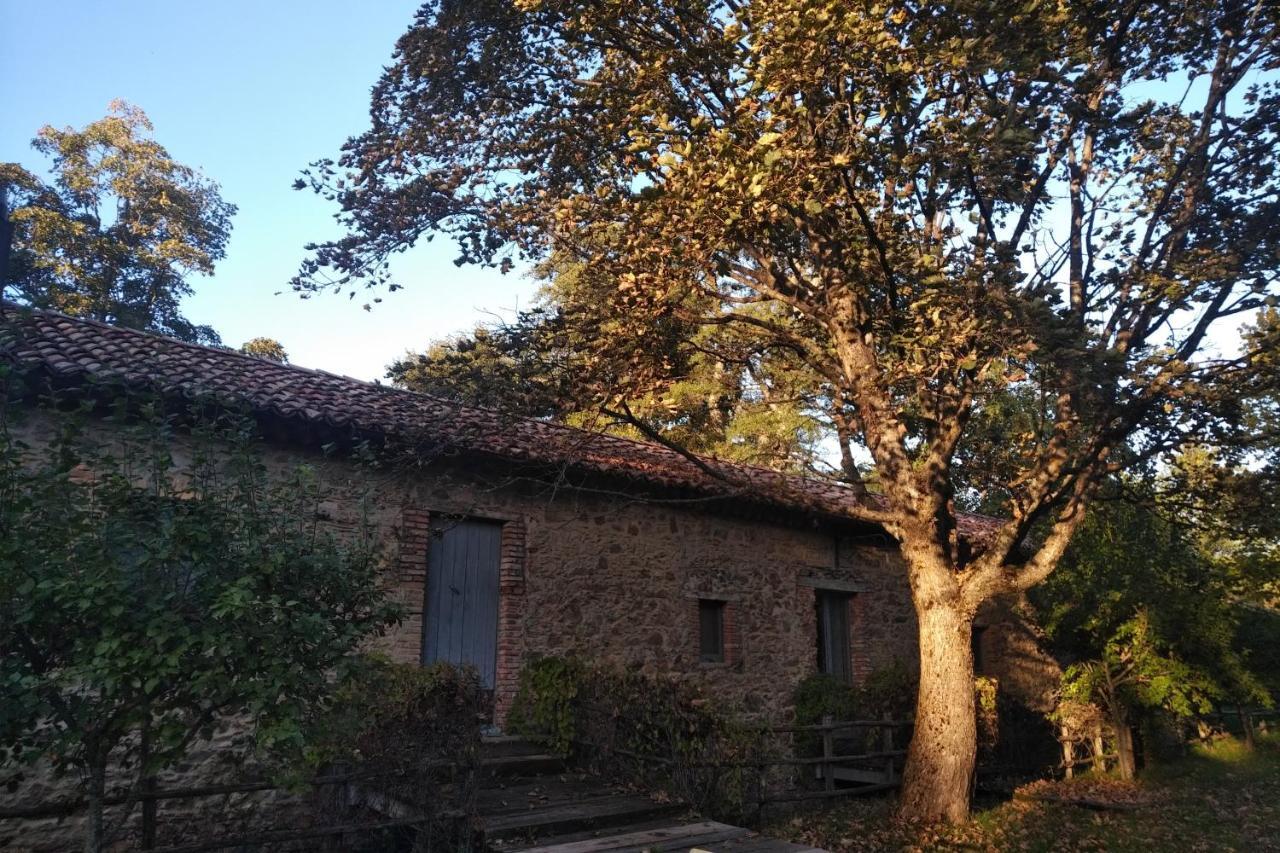 Torre Camigliati Dimora Storica Hotel Camigliatello Silano Luaran gambar
